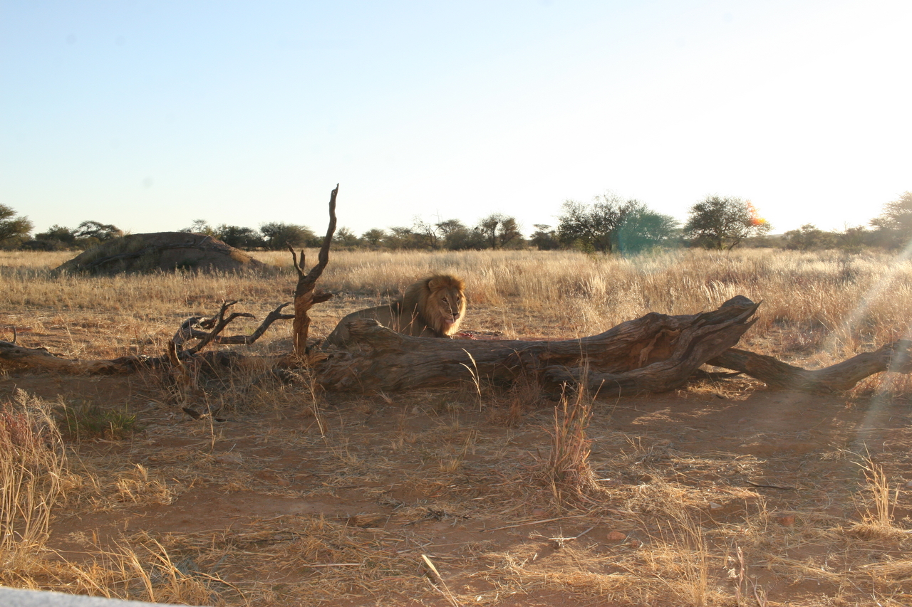 [8759] 2016_06_23_11_59_30_Africa_Canon_EOS_30D_IMG_1949_00393.jpg