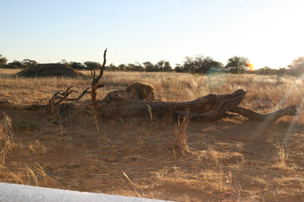 [8763] 2016_06_23_12_00_01_Africa_Canon_EOS_30D_IMG_1951_00395.jpg