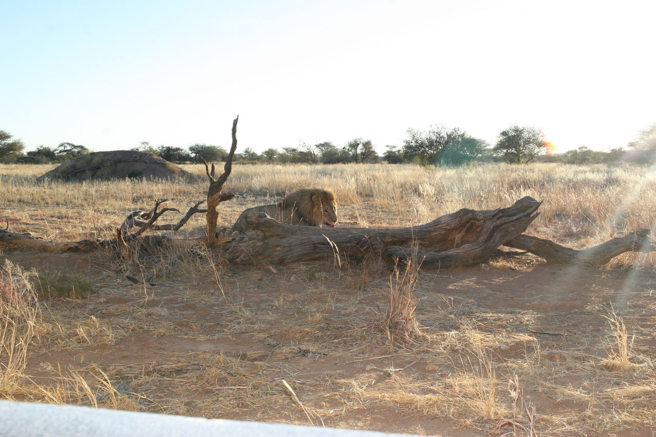 [8771] 2016_06_23_12_00_31_Africa_Canon_EOS_30D_IMG_1955_00399.jpg