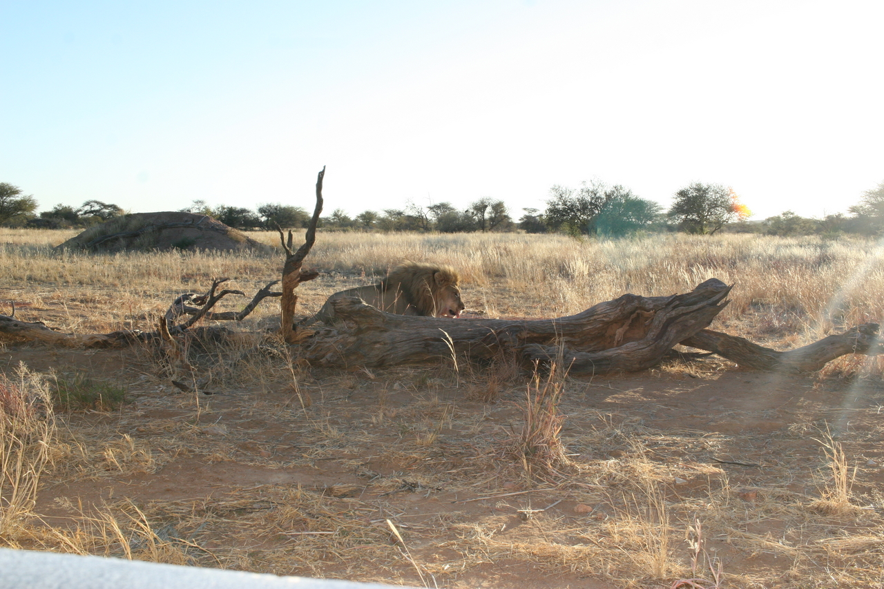 [8776] 2016_06_23_12_00_40_Africa_Canon_EOS_30D_IMG_1958_00223.jpg