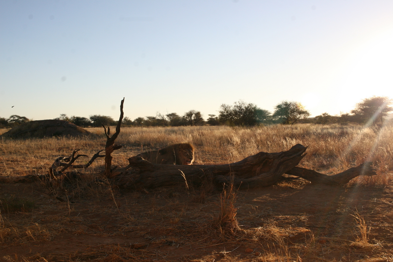 [8779] 2016_06_23_12_01_41_Africa_Canon_EOS_30D_IMG_1959_00403.jpg
