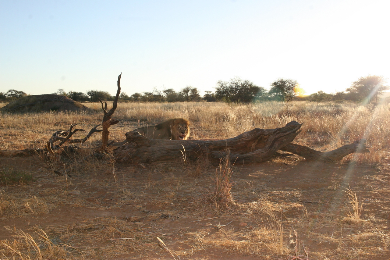 [8781] 2016_06_23_12_01_43_Africa_Canon_EOS_30D_IMG_1960_00404.jpg