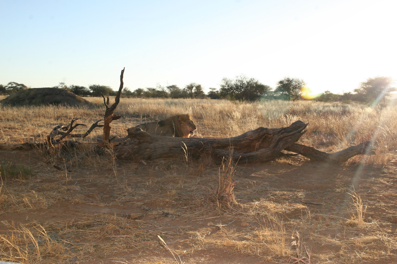 [8783] 2016_06_23_12_01_46_Africa_Canon_EOS_30D_IMG_1961_00405.jpg