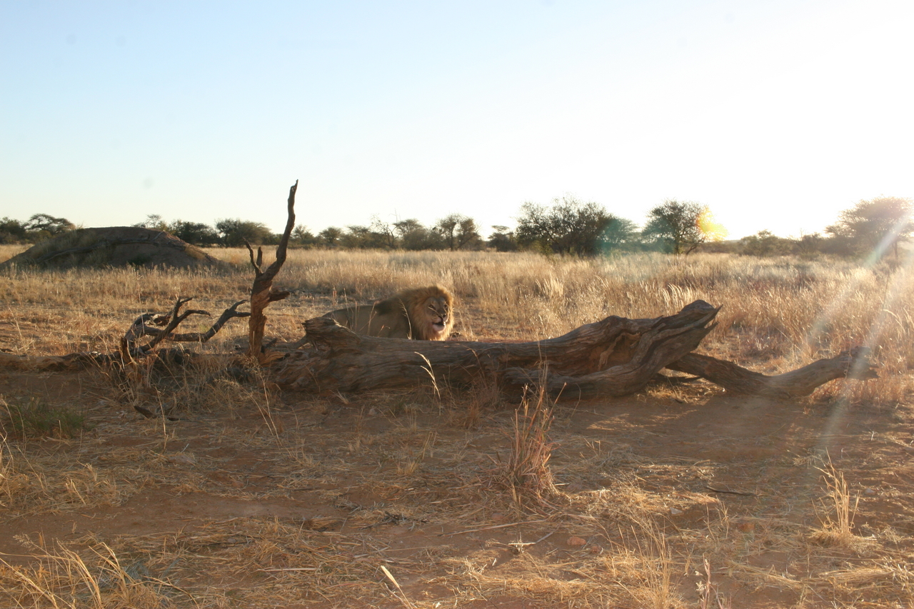 [8786] 2016_06_23_12_01_54_Africa_Canon_EOS_30D_IMG_1963_00228.jpg