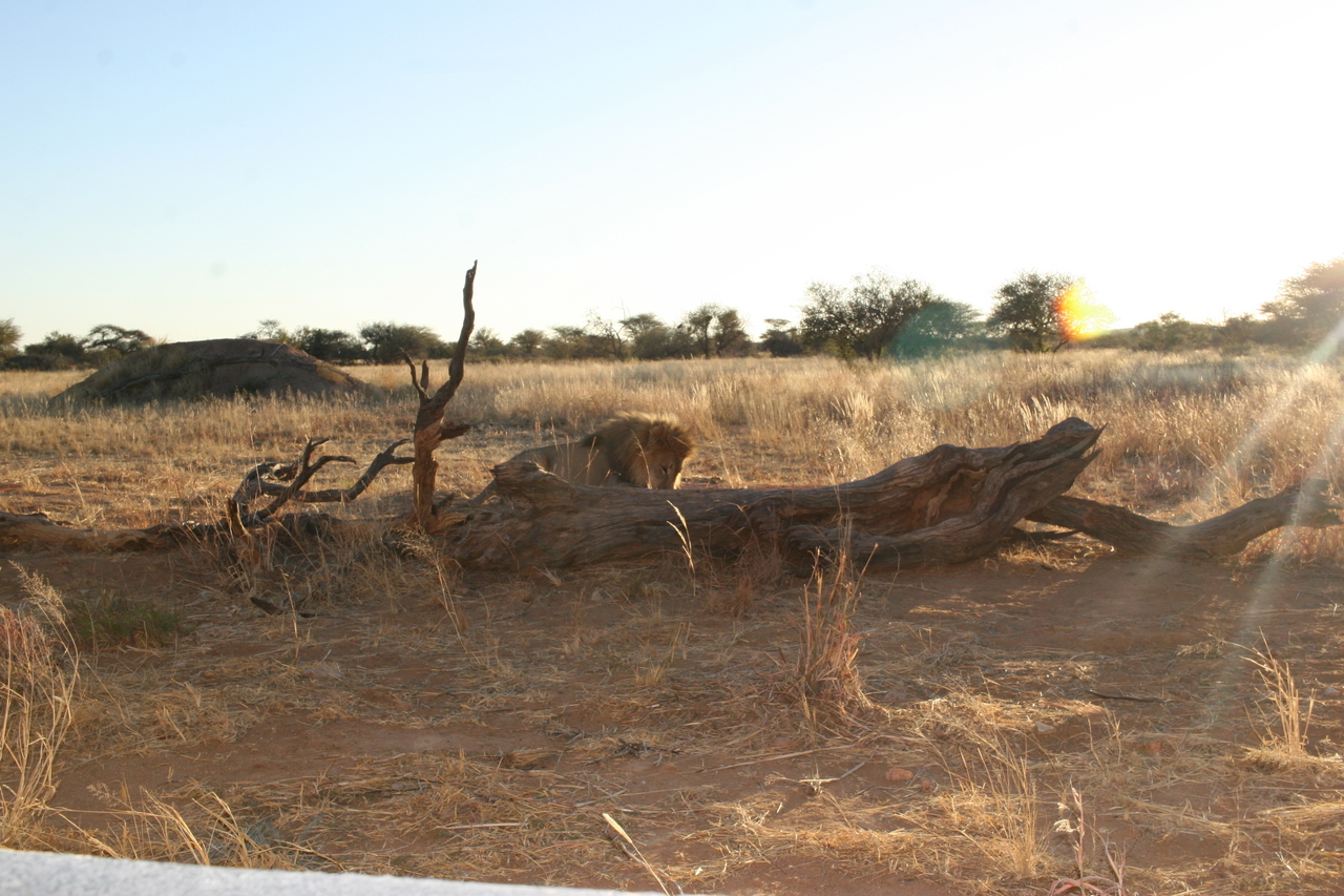 [8794] 2016_06_23_12_03_42_Africa_Canon_EOS_30D_IMG_1967_00232.jpg