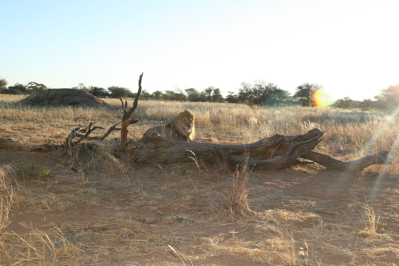 [8799] 2016_06_23_12_04_47_Africa_Canon_EOS_30D_IMG_1969_00413.jpg