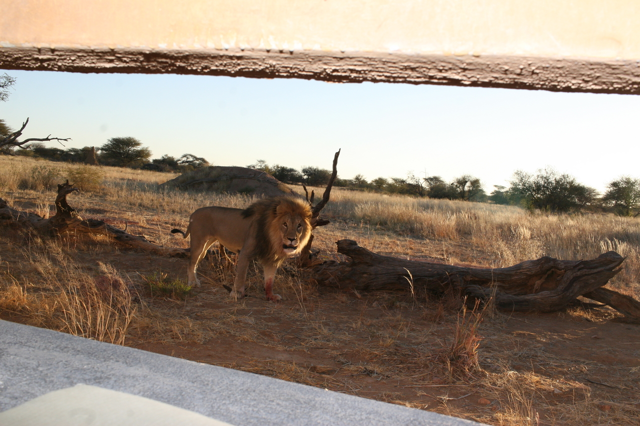 [8803] 2016_06_23_12_06_38_Africa_Canon_EOS_30D_IMG_1971_00415.jpg