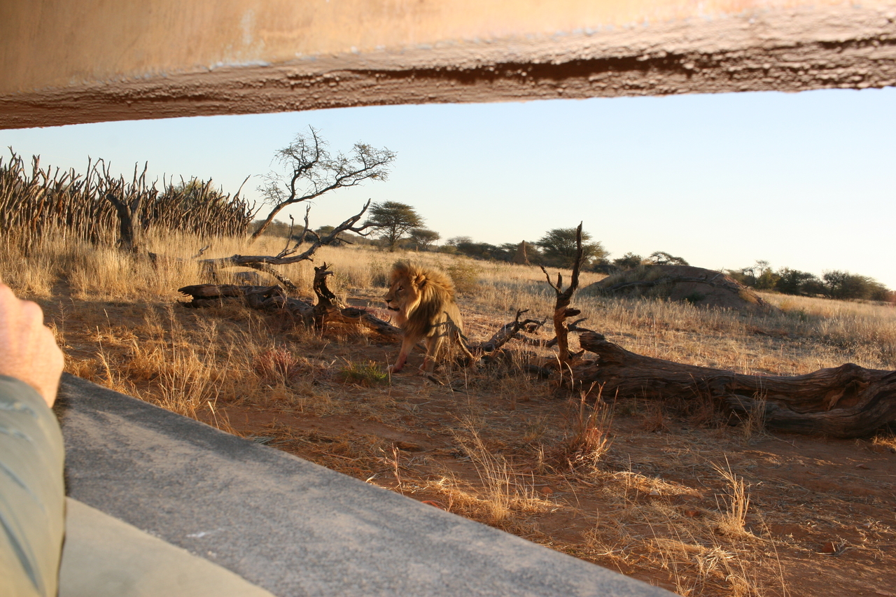 [8805] 2016_06_23_12_07_24_Africa_Canon_EOS_30D_IMG_1972_00416.jpg