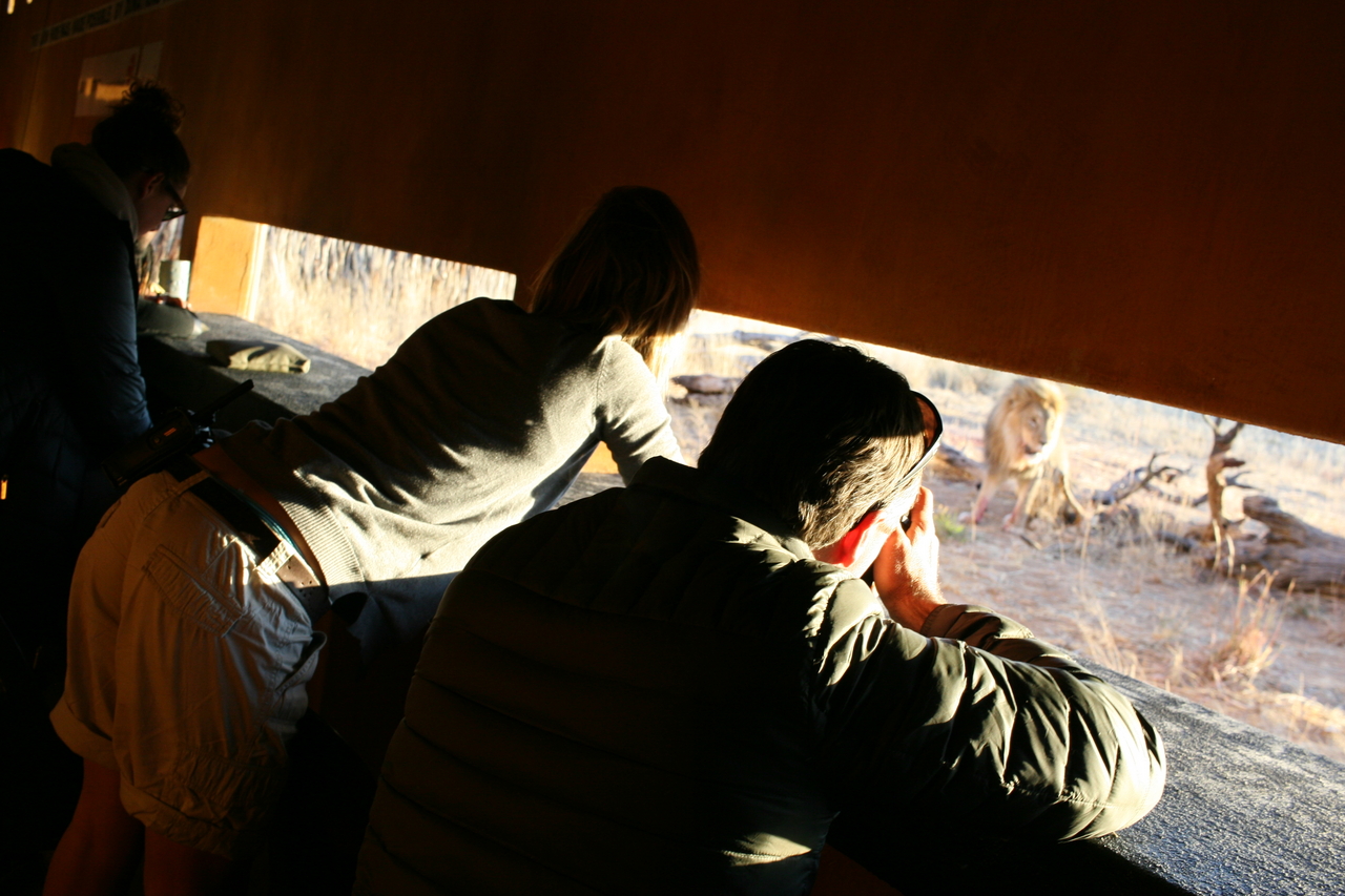 [8832] 2016_06_23_12_07_59_Africa_Canon_EOS_30D_IMG_1973_00238.jpg