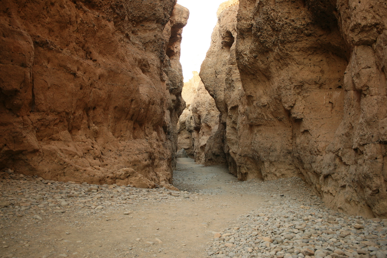 [14021] 2016_06_24_11_54_26_Africa_Canon_EOS_30D_IMG_1993_00258.jpg