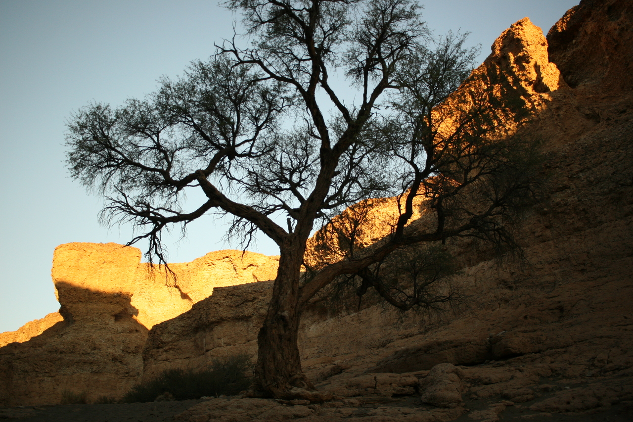 [14048] 2016_06_24_11_57_22_Africa_Canon_EOS_30D_IMG_1996_00261.jpg