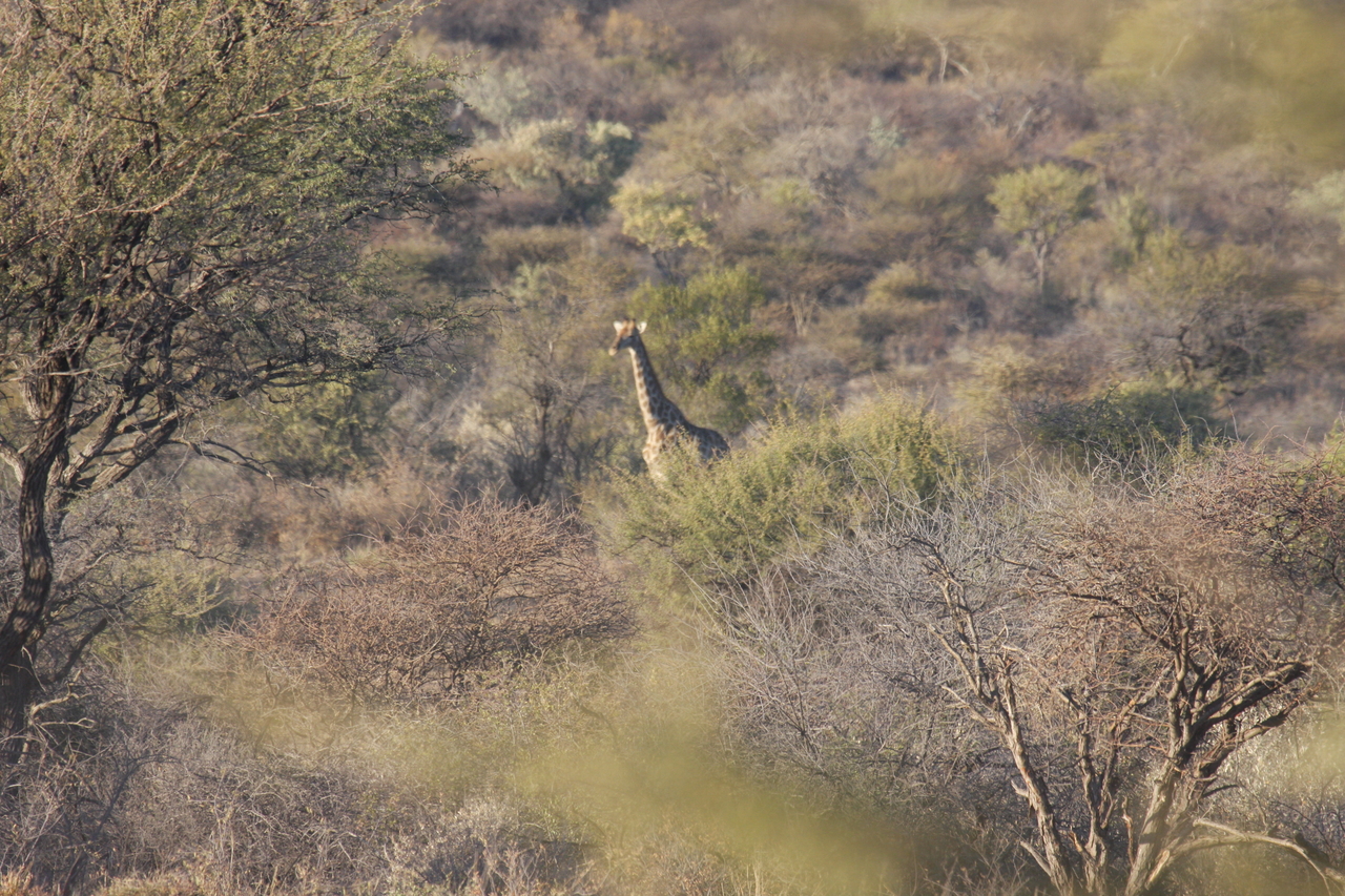 [521] 2016_06_22_02_09_18_Africa_Canon_EOS_40D_IMG__00023.jpg
