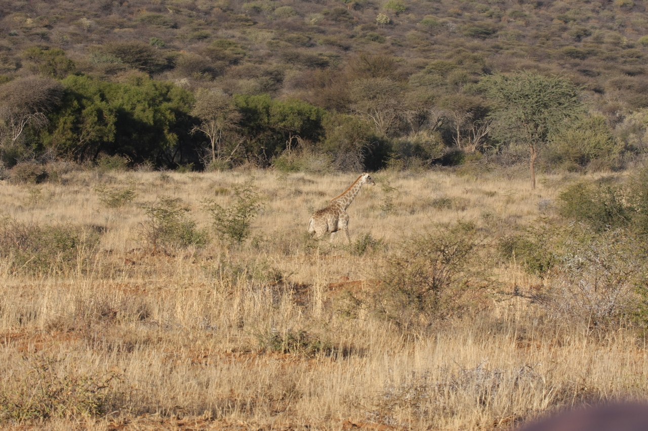 [527] 2016_06_22_02_14_17_Africa_Canon_EOS_40D_IMG__00025.jpg