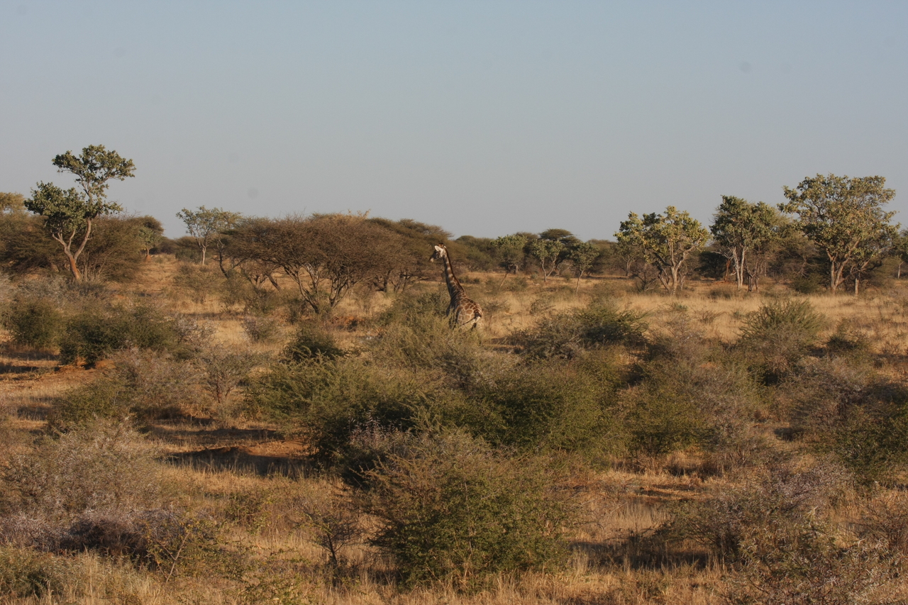 [531] 2016_06_22_02_14_33_Africa_Canon_EOS_40D_IMG__07473.jpg