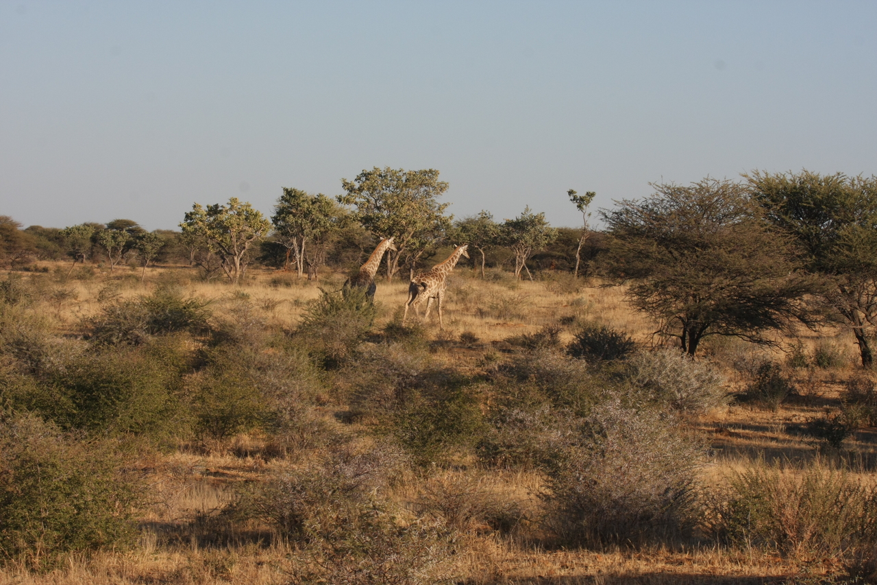 [598] 2016_06_22_02_16_27_Africa_Canon_EOS_40D_IMG__00048.jpg