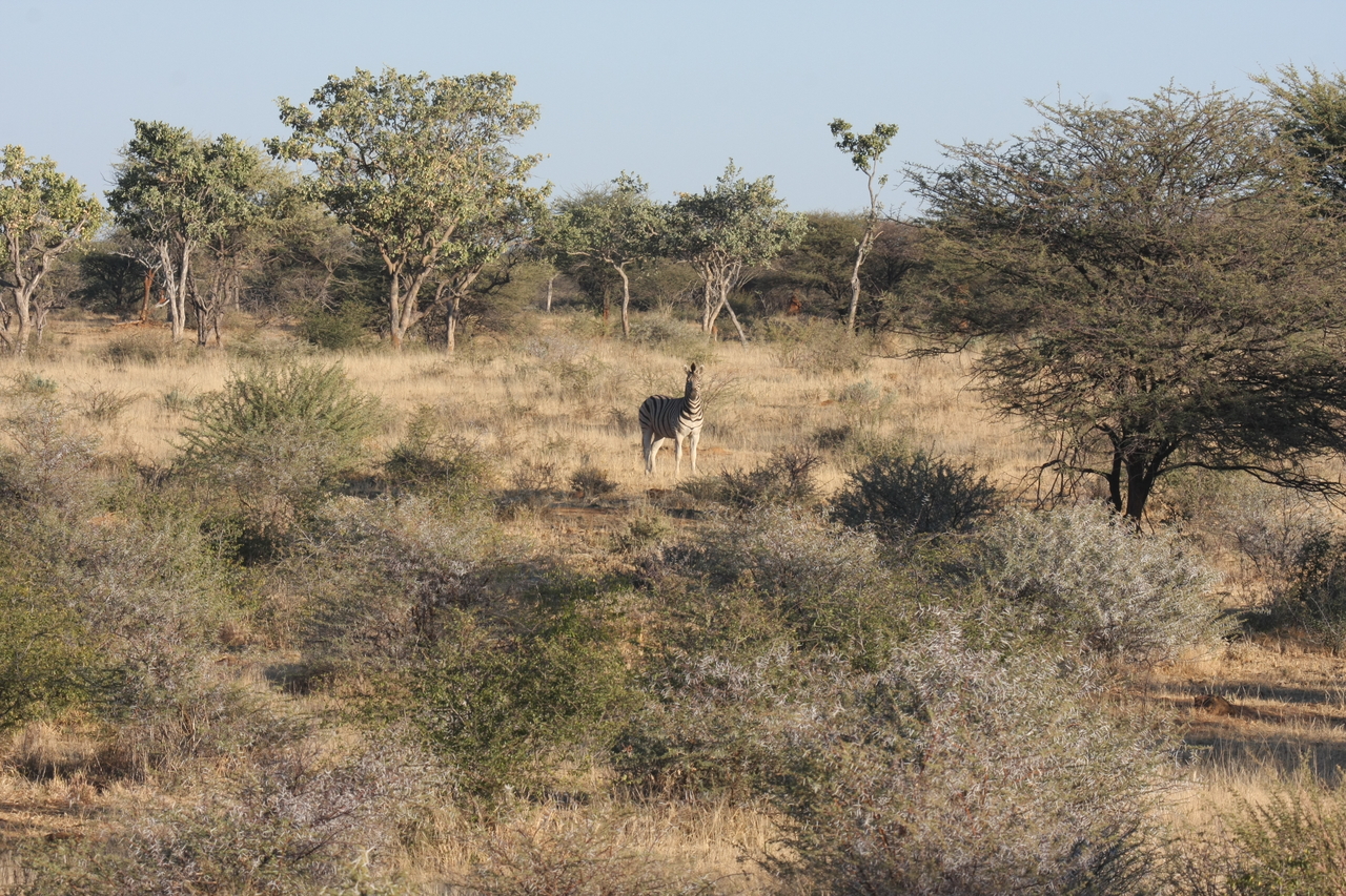 [608] 2016_06_22_02_16_39_Africa_Canon_EOS_40D_IMG__00050.jpg