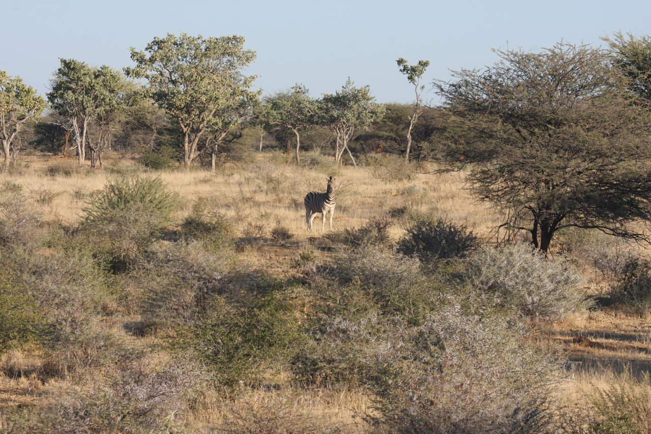 [613] 2016_06_22_02_16_39_Africa_Canon_EOS_40D_IMG__07499.jpg
