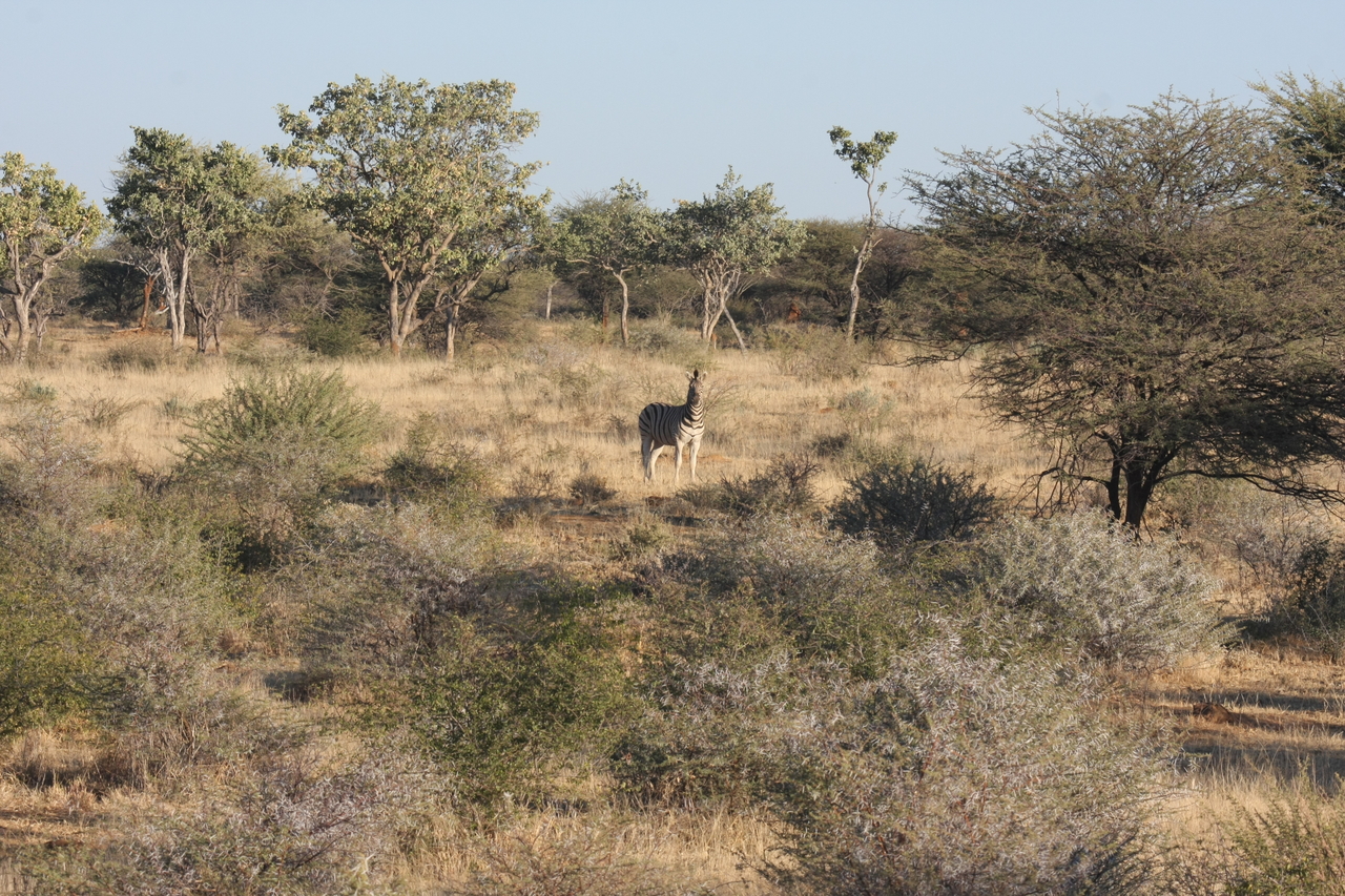 [616] 2016_06_22_02_16_42_Africa_Canon_EOS_40D_IMG__07500.jpg