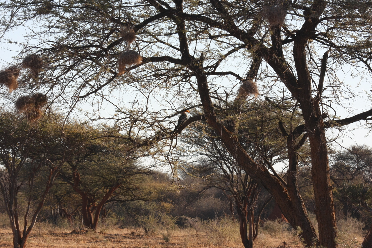 [642] 2016_06_22_02_23_09_Africa_Canon_EOS_40D_IMG__00042.jpg