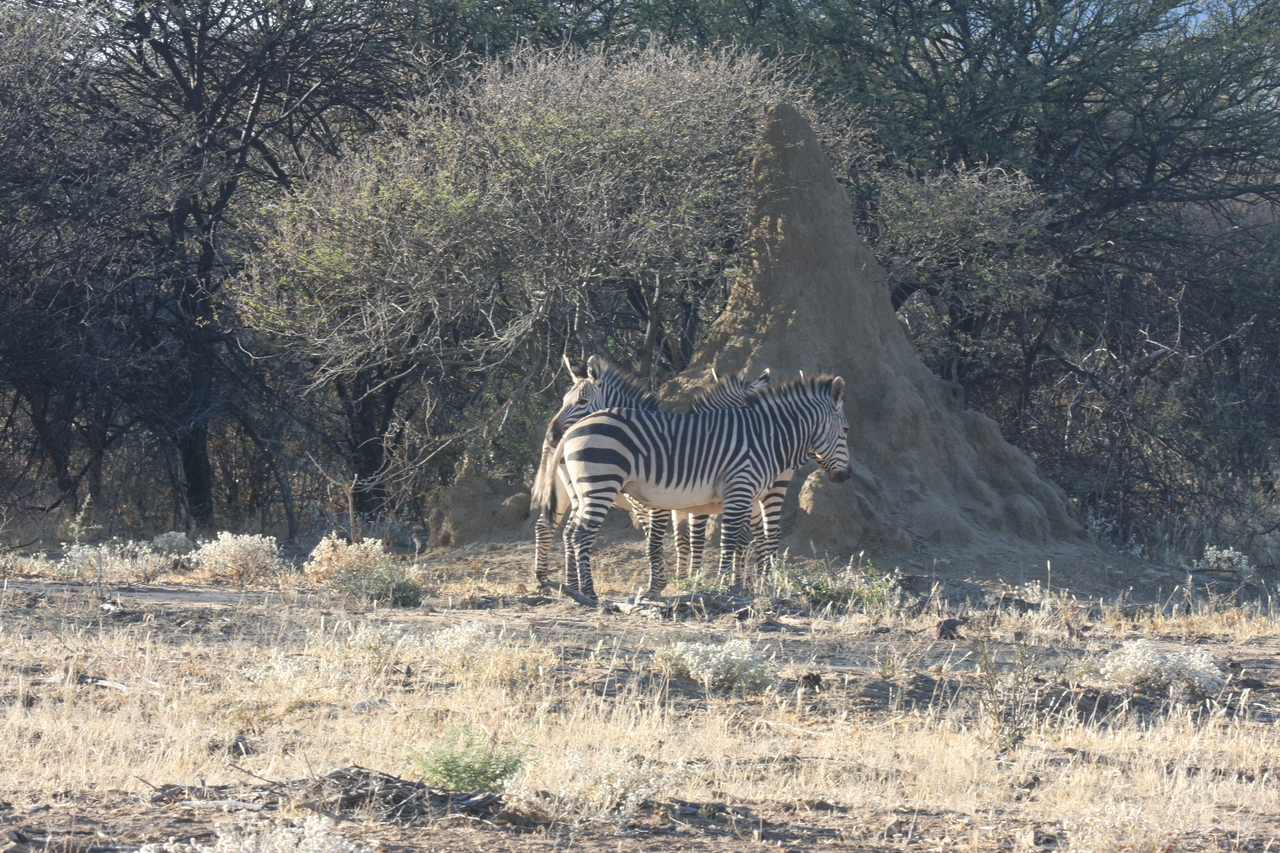 [699] 2016_06_22_02_32_43_Africa_Canon_EOS_40D_IMG__00055.jpg