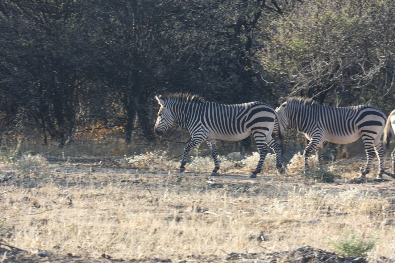 [710] 2016_06_22_02_32_51_Africa_Canon_EOS_40D_IMG__00058.jpg