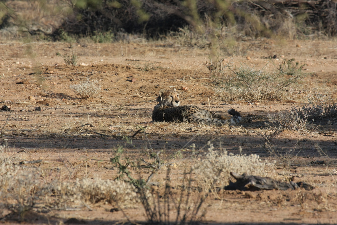 [738] 2016_06_22_02_43_16_Africa_Canon_EOS_40D_IMG__07532.jpg