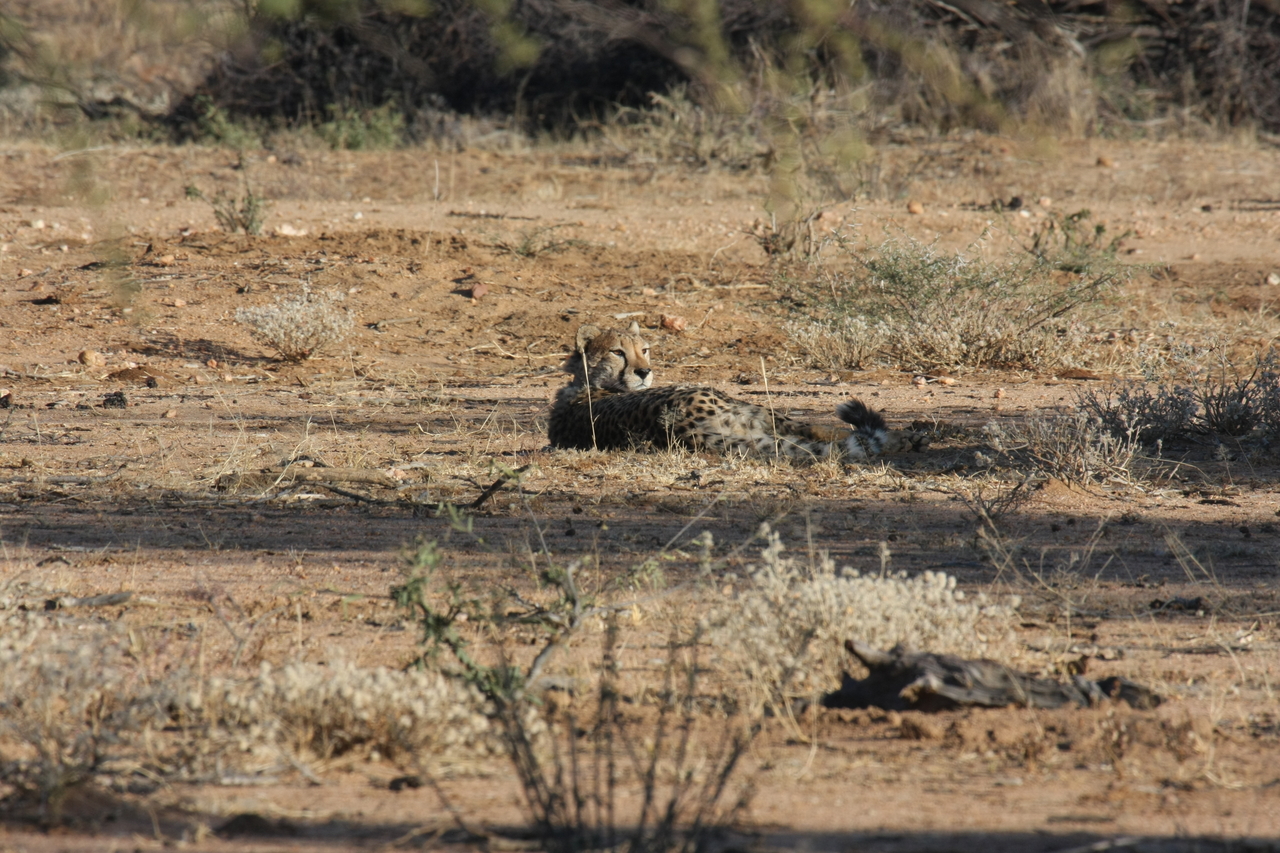 [740] 2016_06_22_02_43_17_Africa_Canon_EOS_40D_IMG__00068.jpg
