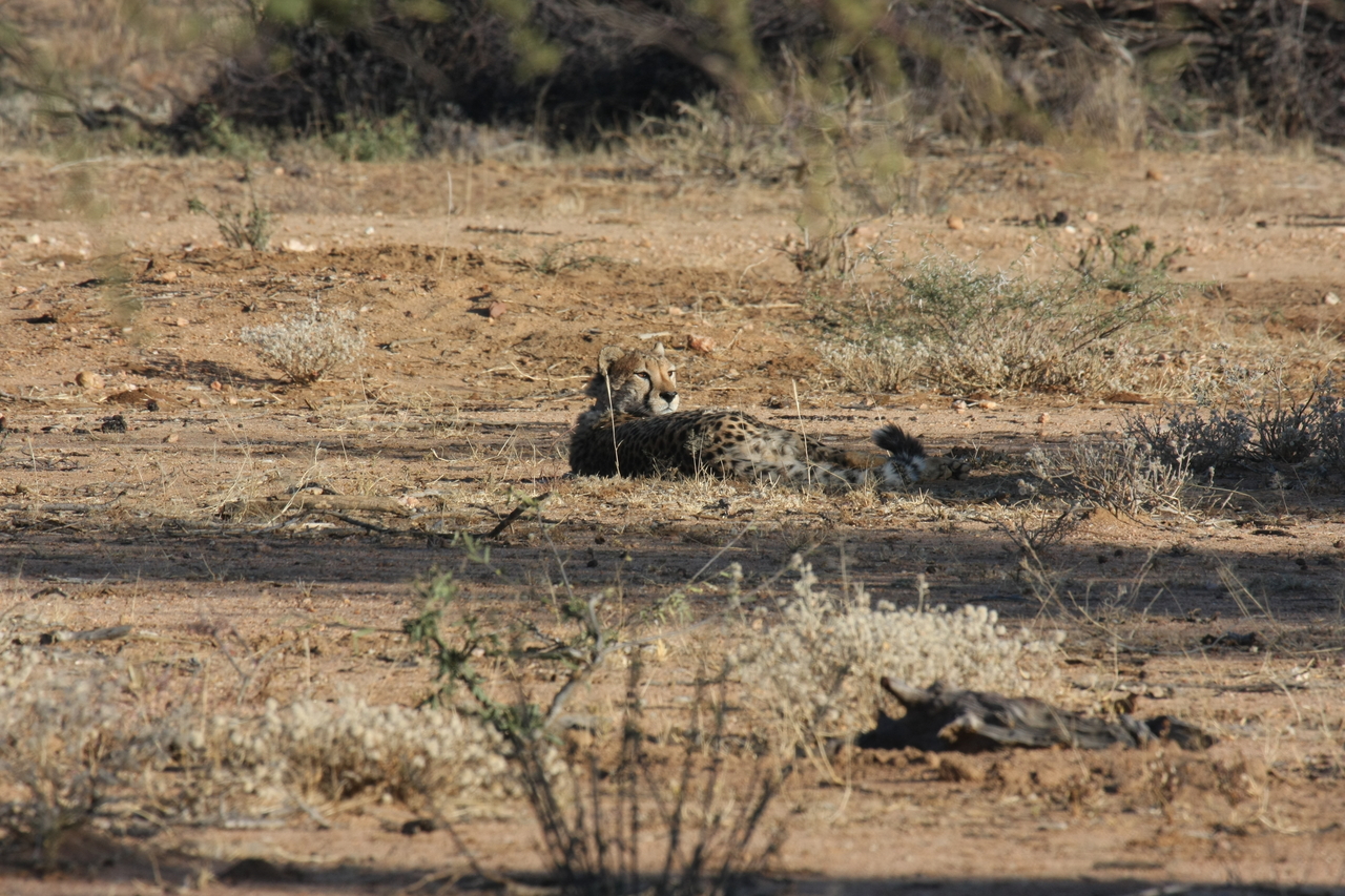[745] 2016_06_22_02_43_17_Africa_Canon_EOS_40D_IMG__07535.jpg