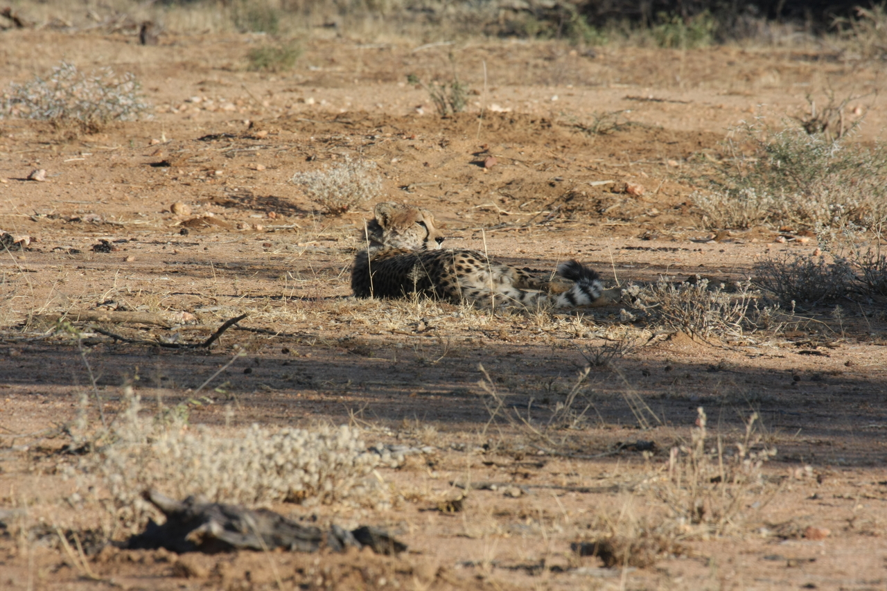 [749] 2016_06_22_02_43_45_Africa_Canon_EOS_40D_IMG__00089.jpg