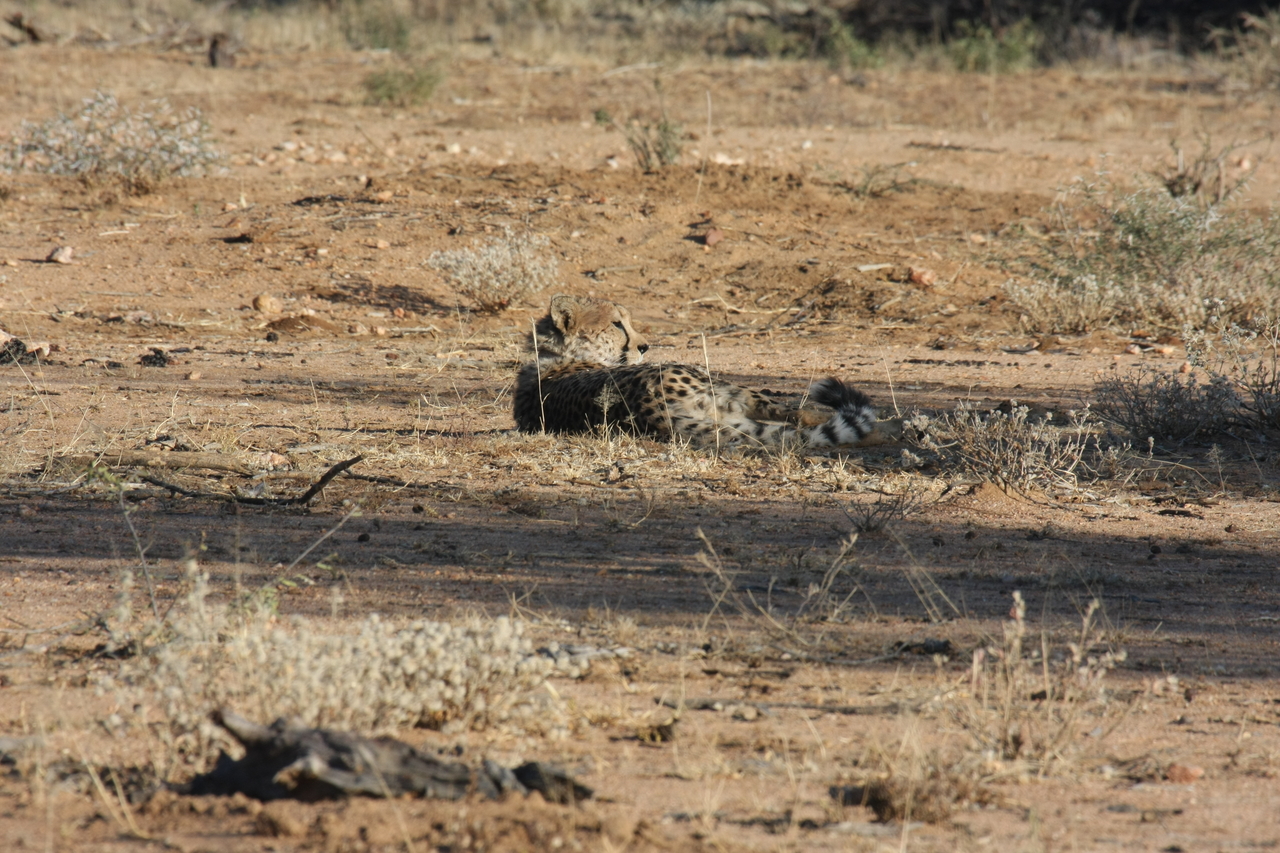 [754] 2016_06_22_02_43_45_Africa_Canon_EOS_40D_IMG__07538.jpg