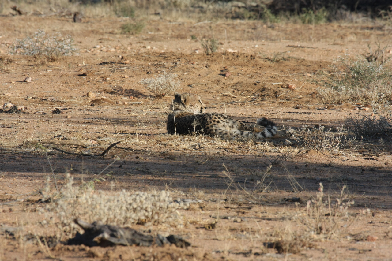 [756] 2016_06_22_02_43_46_Africa_Canon_EOS_40D_IMG__00092.jpg