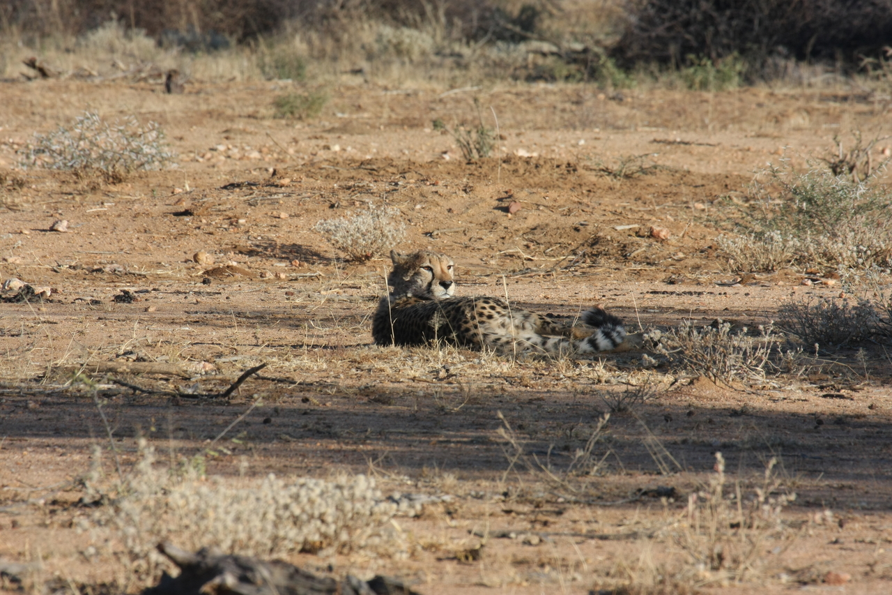 [760] 2016_06_22_02_43_58_Africa_Canon_EOS_40D_IMG__07540.jpg