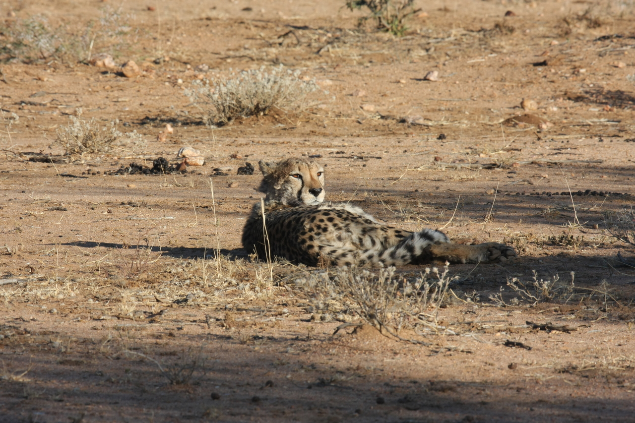 [762] 2016_06_22_02_44_45_Africa_Canon_EOS_40D_IMG__00076.jpg
