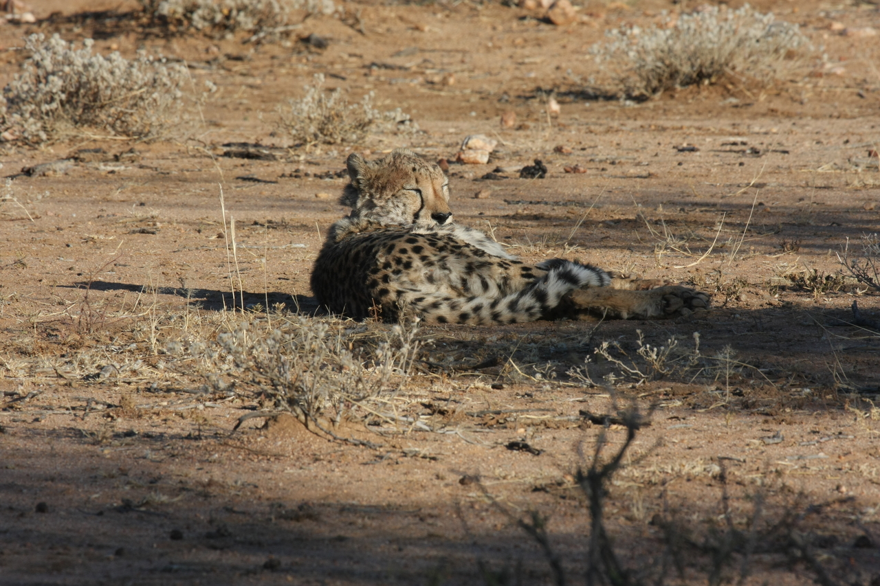 [768] 2016_06_22_02_44_58_Africa_Canon_EOS_40D_IMG__00078.jpg