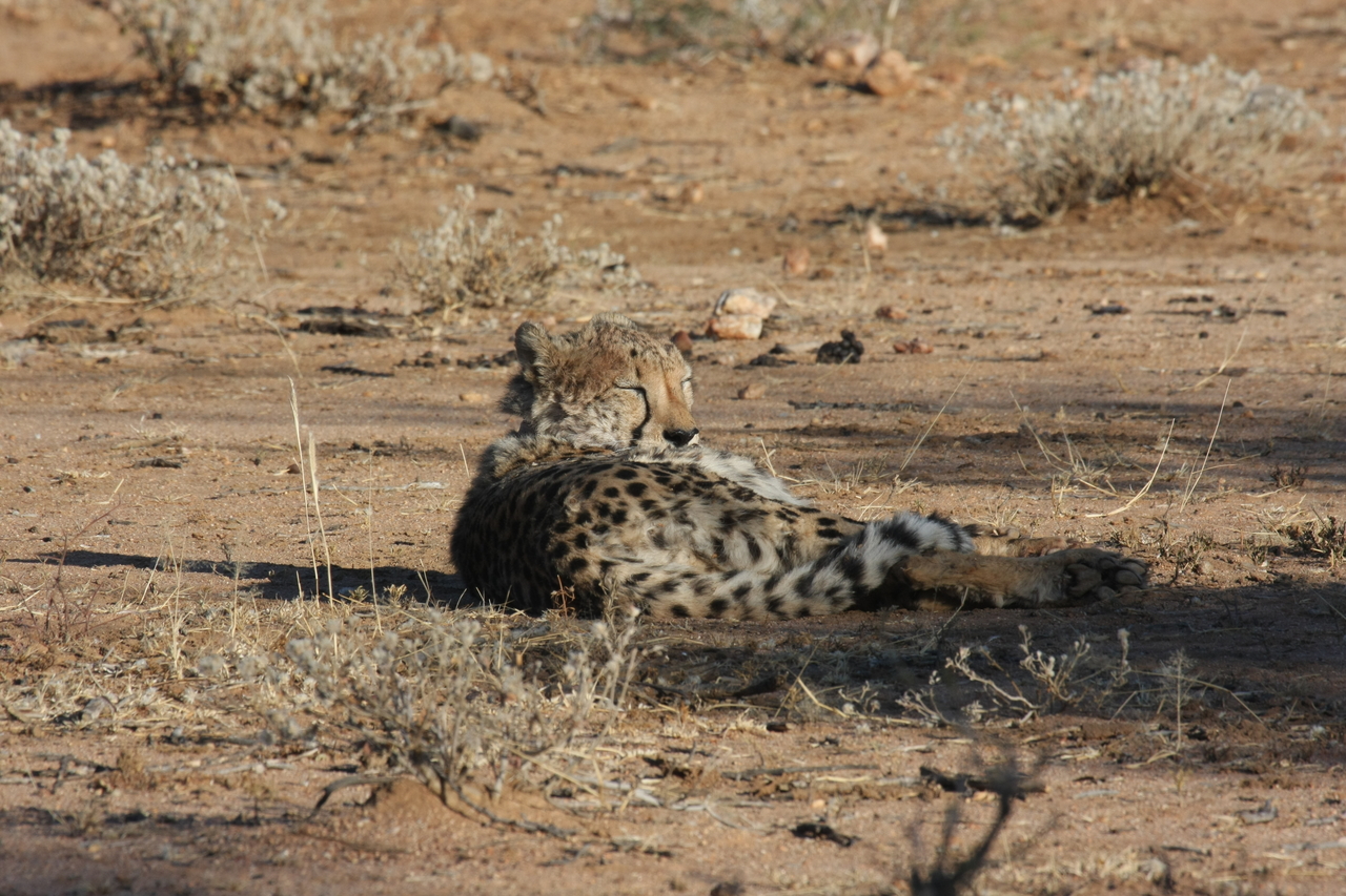 [775] 2016_06_22_02_45_05_Africa_Canon_EOS_40D_IMG__00098.jpg