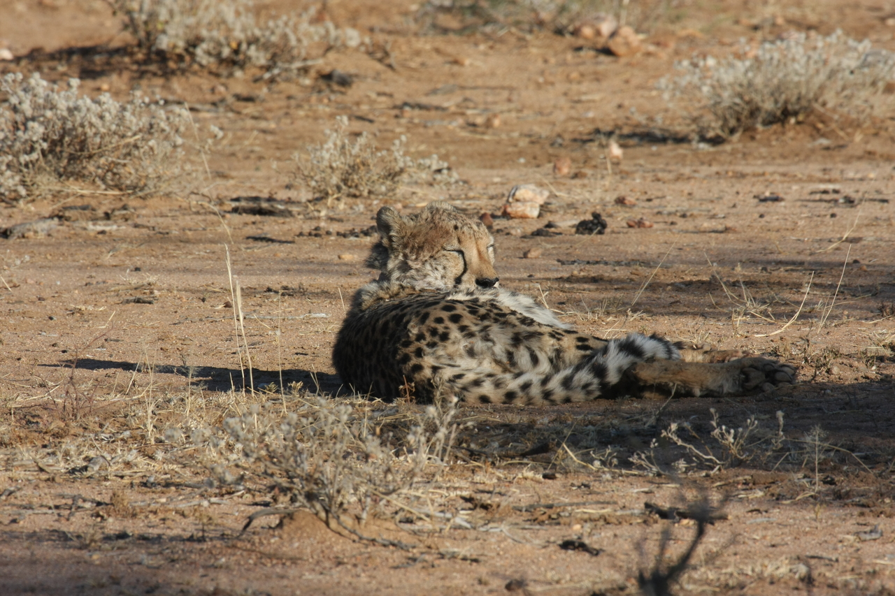 [780] 2016_06_22_02_45_06_Africa_Canon_EOS_40D_IMG__00100.jpg