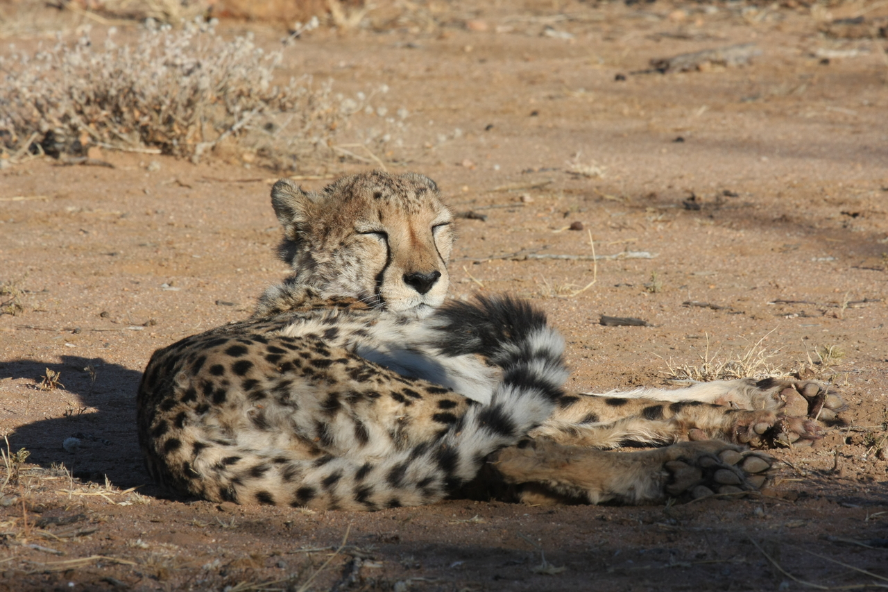 [782] 2016_06_22_02_45_54_Africa_Canon_EOS_40D_IMG__00082.jpg