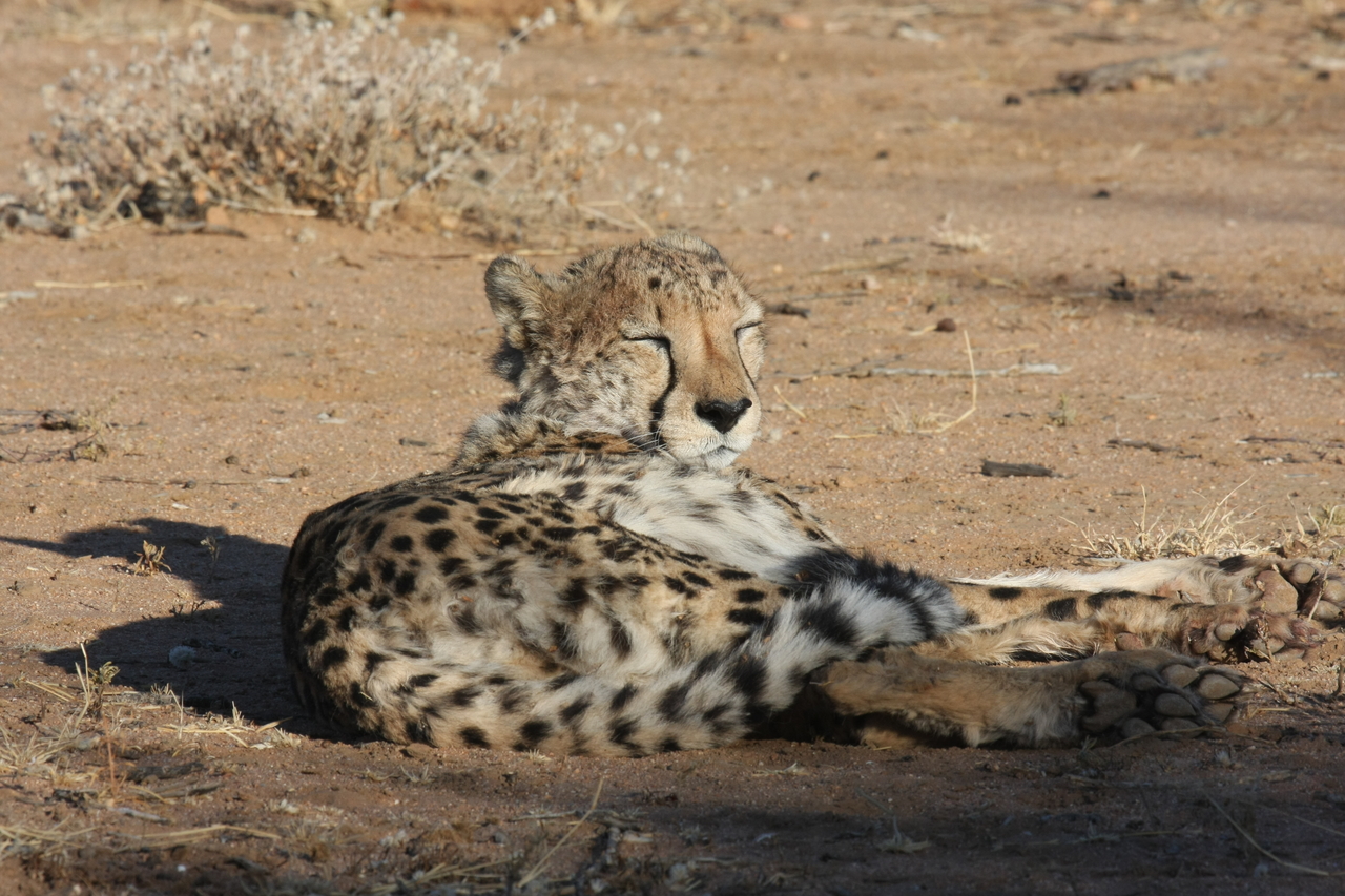 [788] 2016_06_22_02_45_55_Africa_Canon_EOS_40D_IMG__00084.jpg