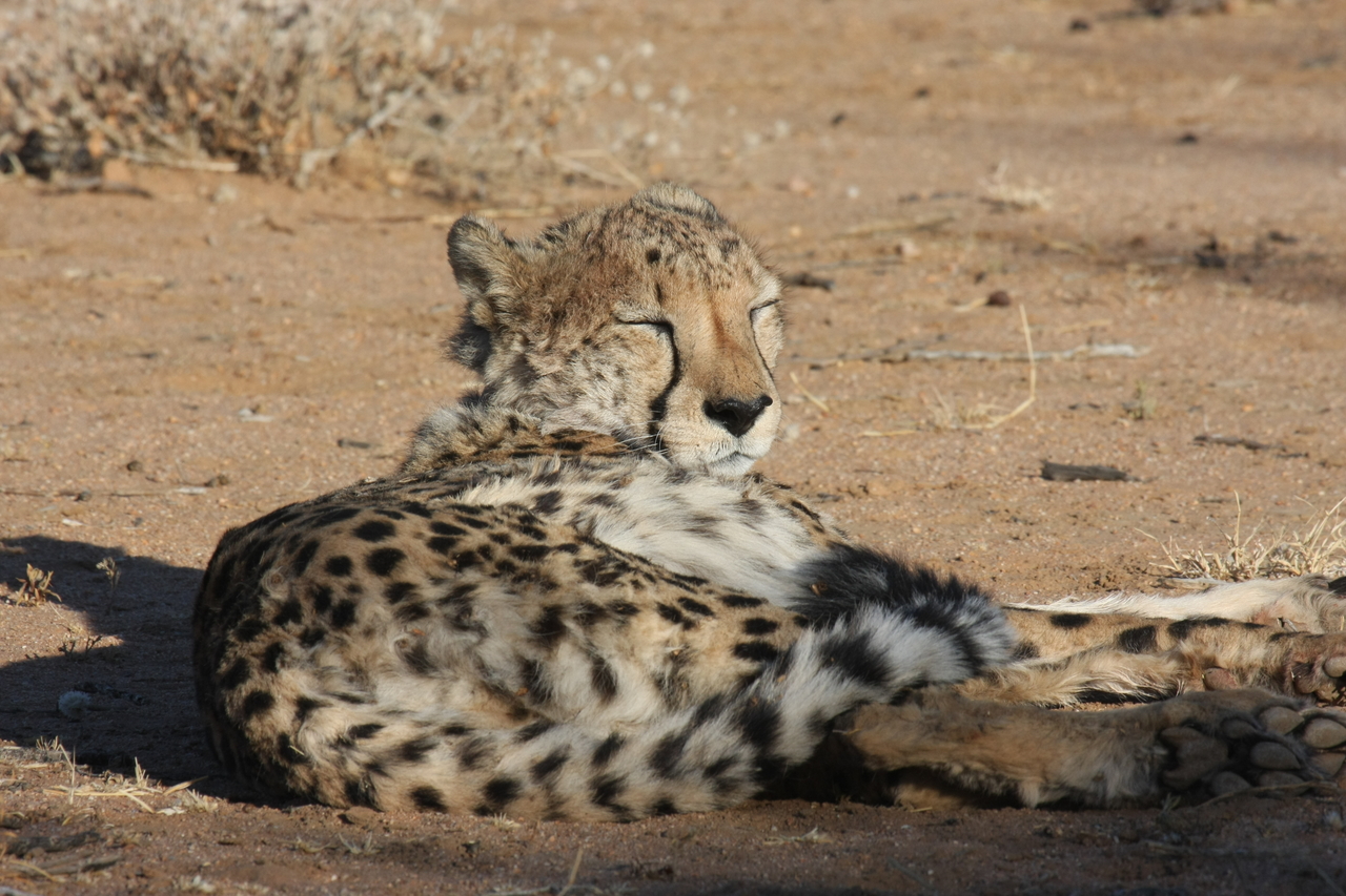 [791] 2016_06_22_02_45_59_Africa_Canon_EOS_40D_IMG__00085.jpg