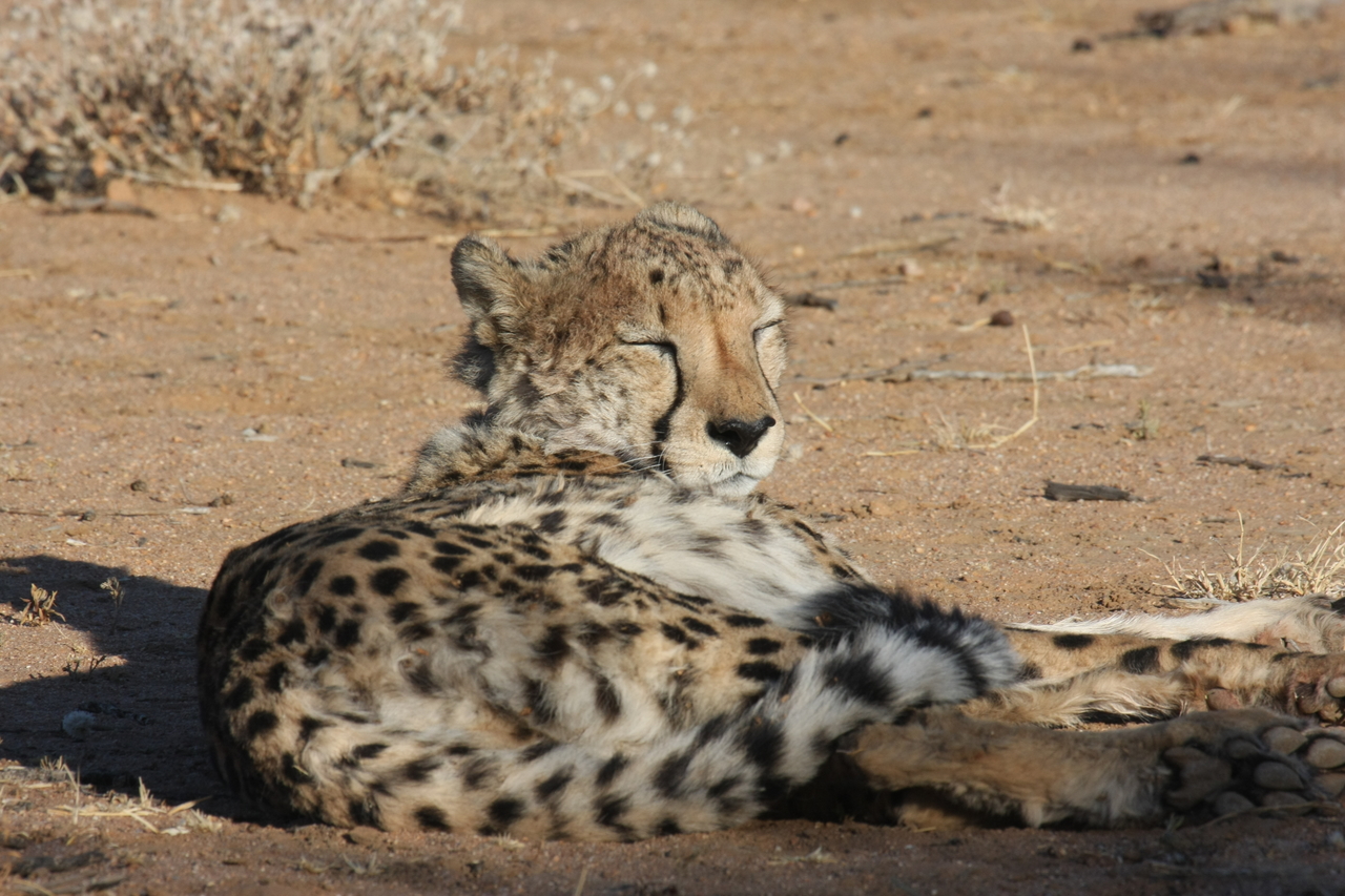 [794] 2016_06_22_02_45_59_Africa_Canon_EOS_40D_IMG__00105.jpg