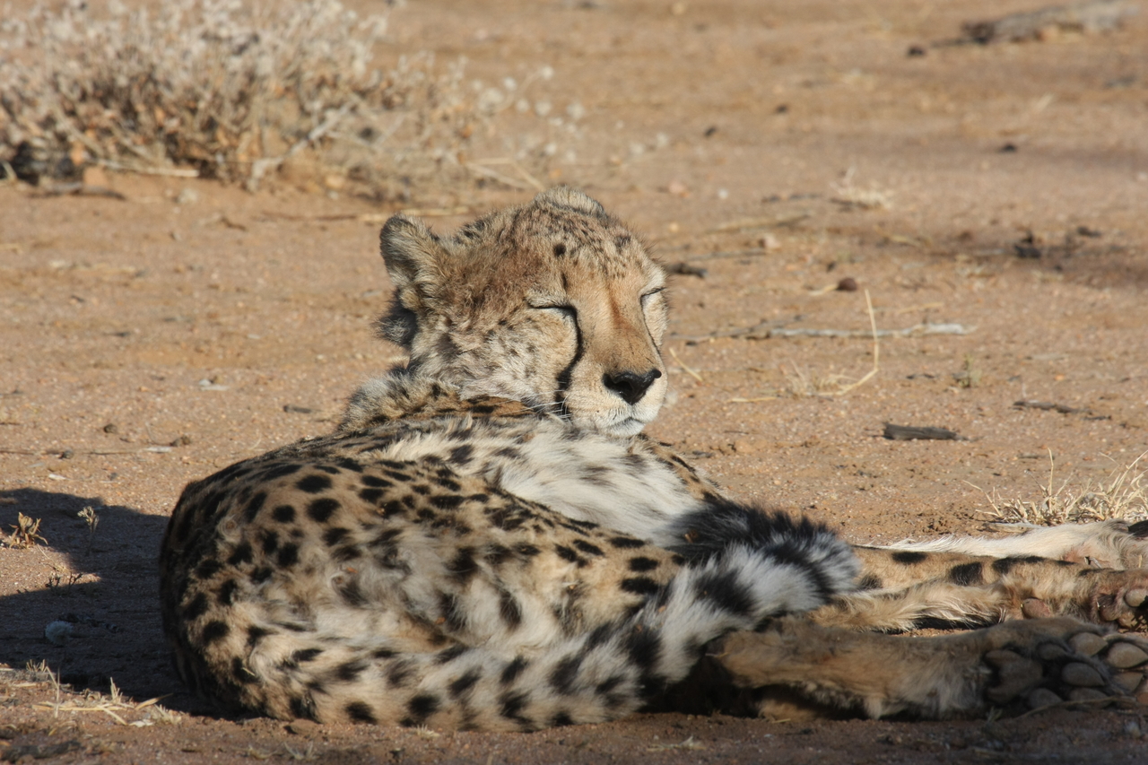 [801] 2016_06_22_02_46_01_Africa_Canon_EOS_40D_IMG__07553.jpg