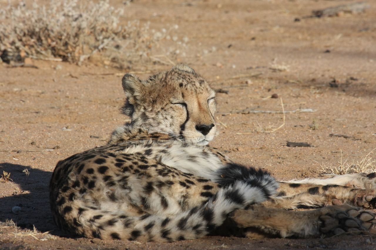 [802] 2016_06_22_02_46_01_Africa_Canon_EOS_40D_IMG__07554.jpg