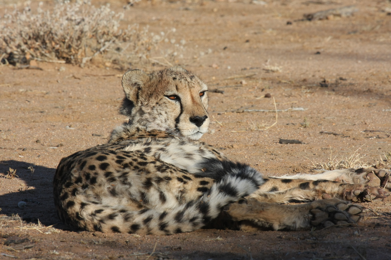 [809] 2016_06_22_02_46_08_Africa_Canon_EOS_40D_IMG__00091.jpg