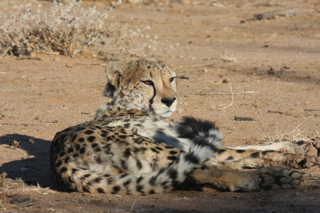 [813] 2016_06_22_02_46_09_Africa_Canon_EOS_40D_IMG__00093.jpg