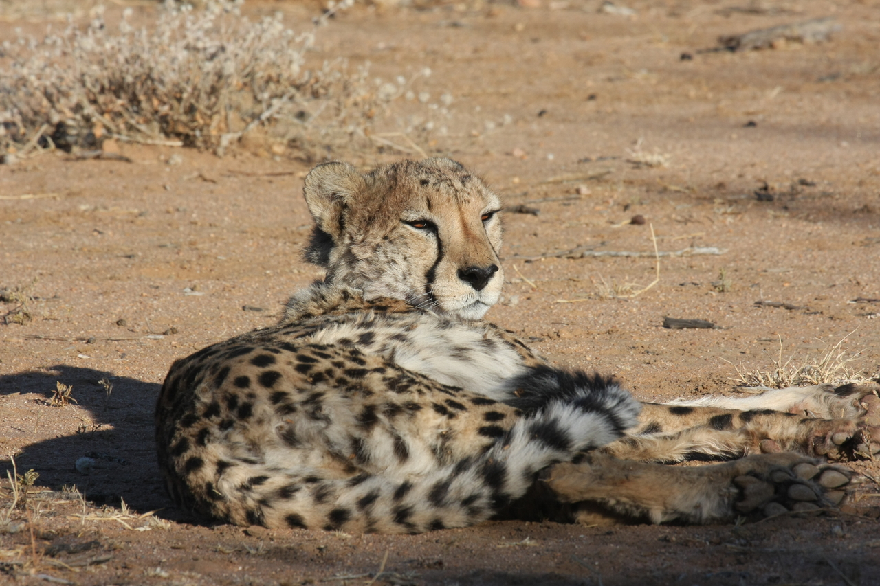 [819] 2016_06_22_02_46_10_Africa_Canon_EOS_40D_IMG__00113.jpg