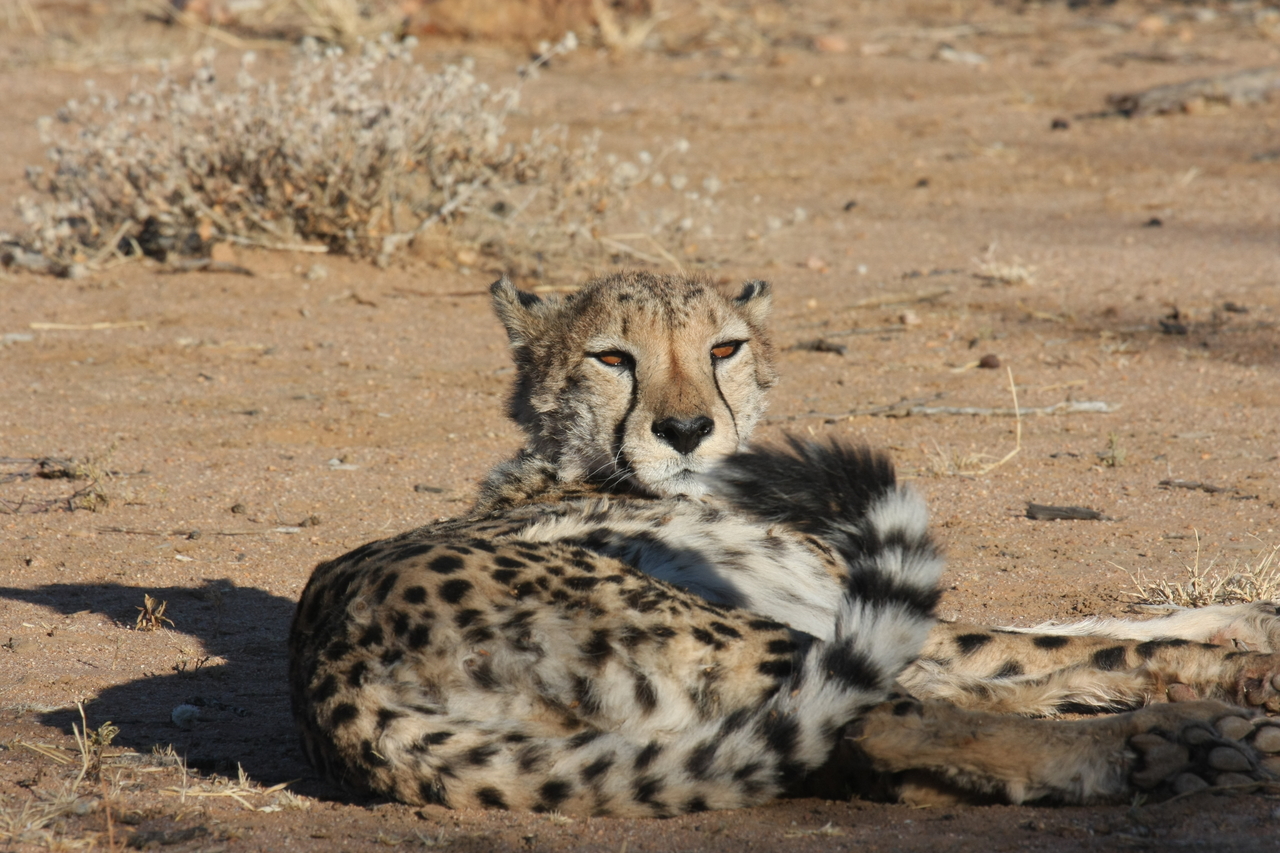 [821] 2016_06_22_02_46_12_Africa_Canon_EOS_40D_IMG__00095.jpg