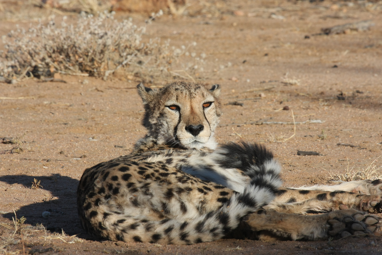 [824] 2016_06_22_02_46_12_Africa_Canon_EOS_40D_IMG__00115.jpg