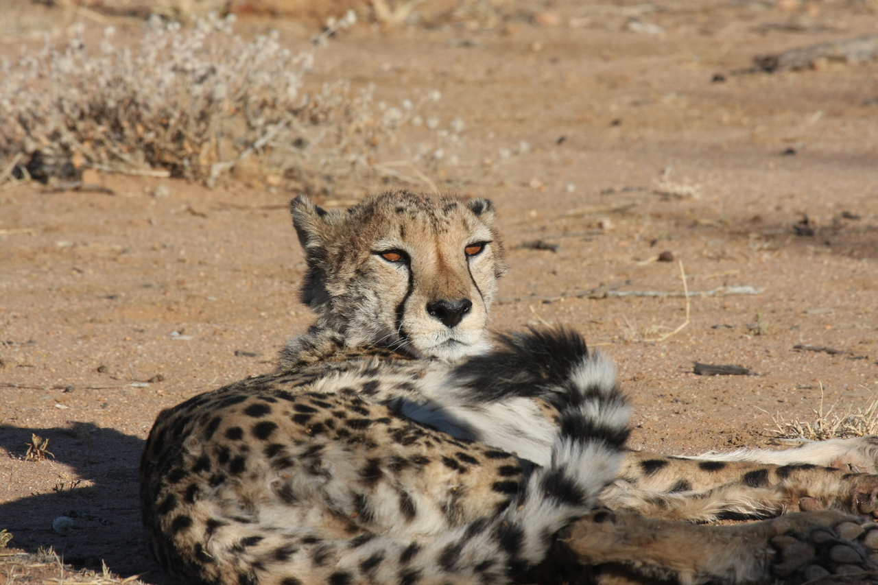 [829] 2016_06_22_02_46_14_Africa_Canon_EOS_40D_IMG__00116.jpg