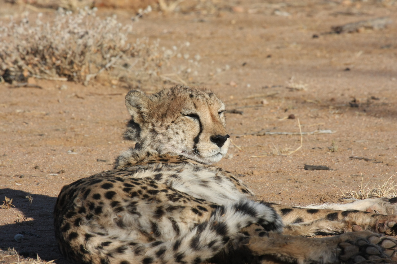 [840] 2016_06_22_02_46_17_Africa_Canon_EOS_40D_IMG__00120.jpg