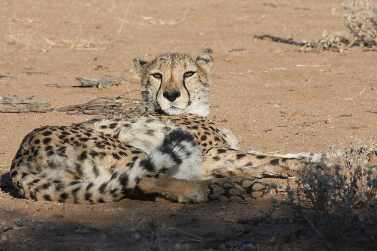 [846] 2016_06_22_02_46_52_Africa_Canon_EOS_40D_IMG__00122.jpg